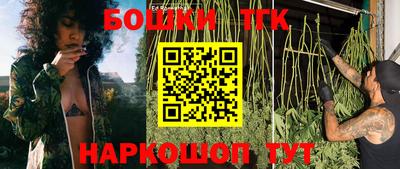 молекула духа Гатчина