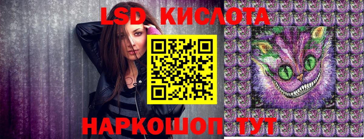 Наркотические марки 1,5мг  Наркотические марки 1,5мг  Вход с VPN  Дятьково 