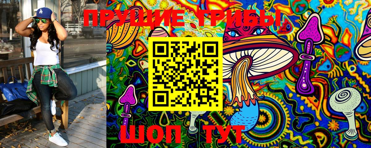 Дятьково  Галлюциногенные грибы Cubensis  Вход с VPN 