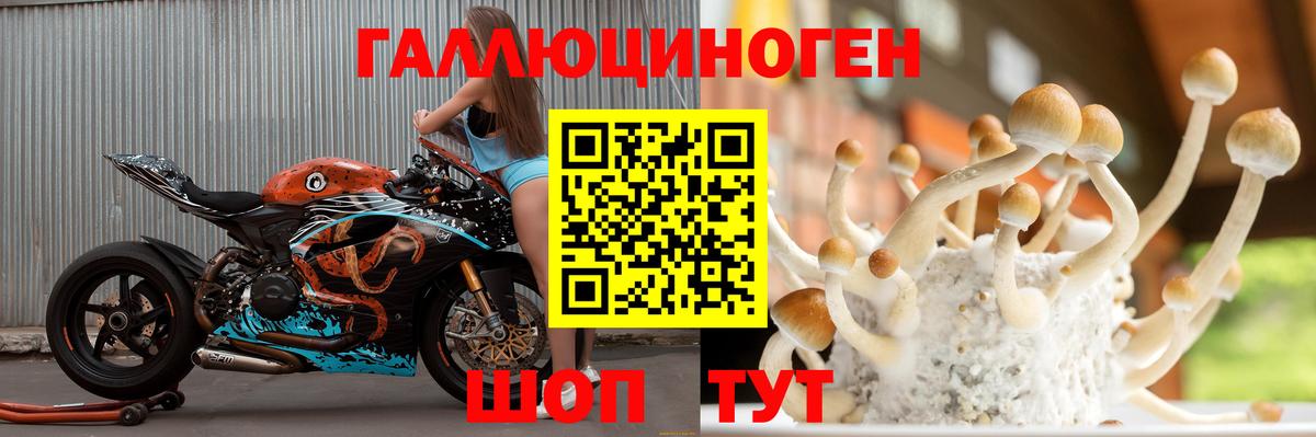 Галлюциногенные грибы GOLDEN TEACHER Дятьково